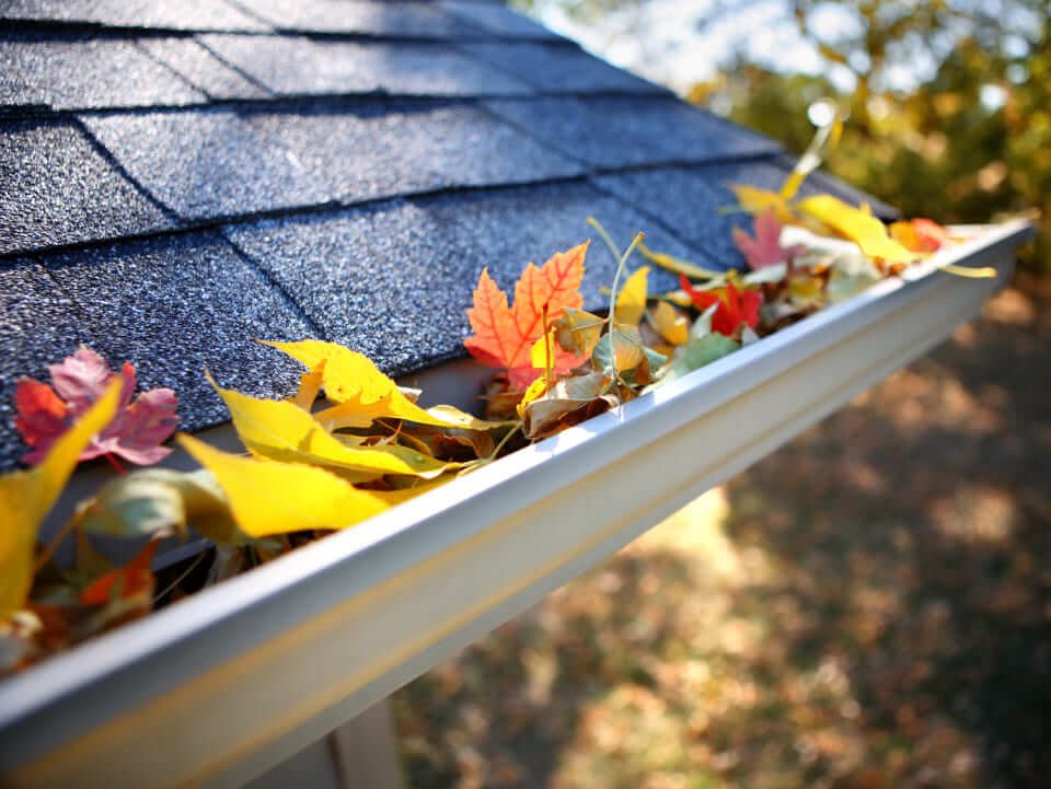 Gutter system on roofline
